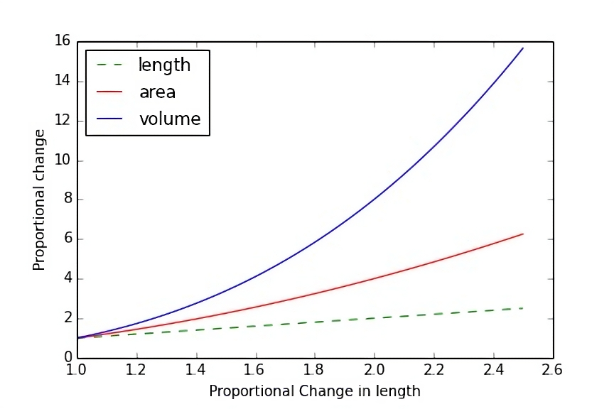 Scaling the heights of reality the square cube law and its profound